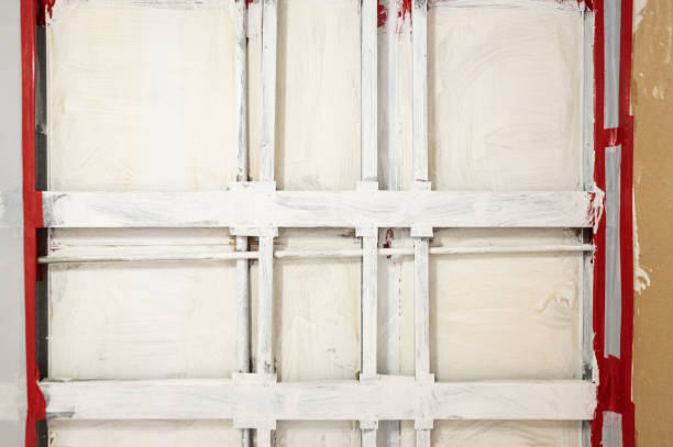 Best Post-Construction Mold Inspection  in Manvel, TX