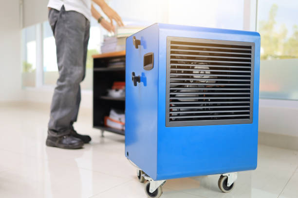 Best Mold Remediation for Healthcare Facilities  in Manvel, TX